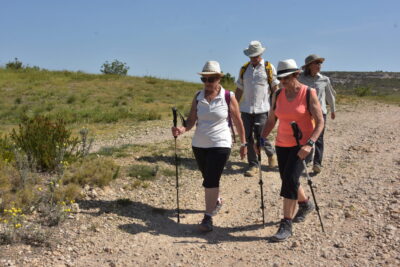 Agrandir l'image 4 sur 6, fenêtre modale
