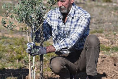 plante plantation homme senior - Agrandir l'image 60 sur 64, fenêtre modale