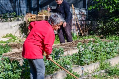 Agrandir l'image 56 sur 64, fenêtre modale