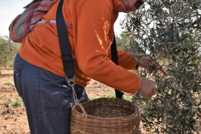 Agrandir l'image 49 sur 64, fenêtre modale