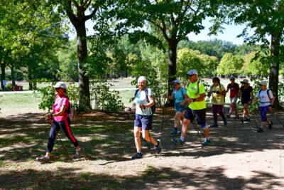 Agrandir l'image 47 sur 64, fenêtre modale