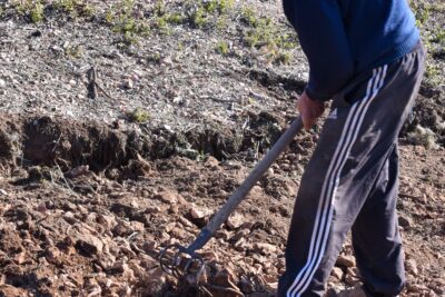 Agrandir l'image 46 sur 64, fenêtre modale