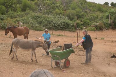Agrandir l'image 32 sur 64, fenêtre modale