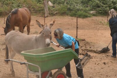 Agrandir l'image 31 sur 64, fenêtre modale
