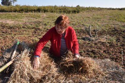 Agrandir l'image 15 sur 64, fenêtre modale