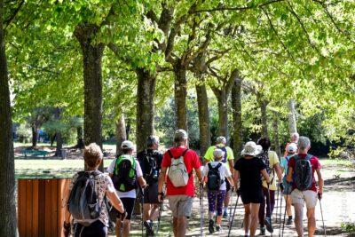 Agrandir l'image 11 sur 64, fenêtre modale