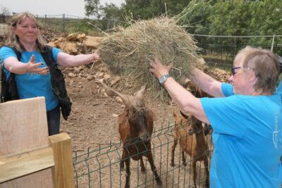 Agrandir l'image 6 sur 64, fenêtre modale