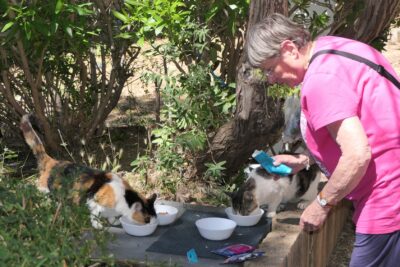 Agrandir l'image 5 sur 64, fenêtre modale