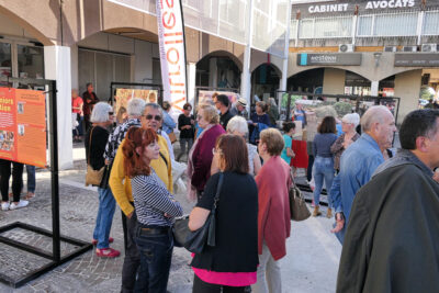 Agrandir l'image 13 sur 18, fenêtre modale