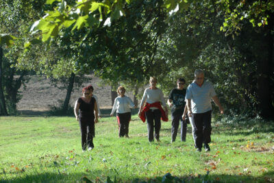 Agrandir l'image 6 sur 6, fenêtre modale