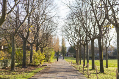 Agrandir l'image 1 sur 6, fenêtre modale