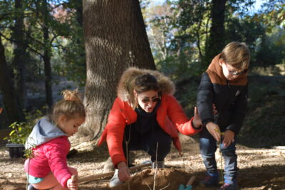 Agrandir l'image 2 sur 6, fenêtre modale