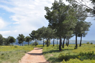 Agrandir l'image 1 sur 3, fenêtre modale