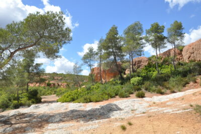 Agrandir l'image 2 sur 3, fenêtre modale