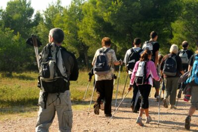 Agrandir l'image 3 sur 3, fenêtre modale