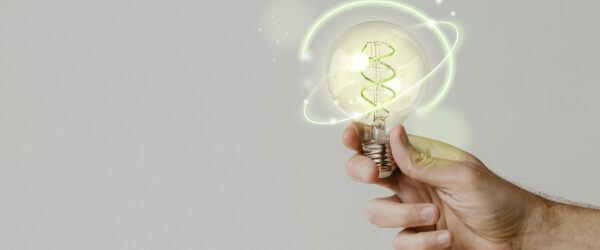 Ampoule développement durable