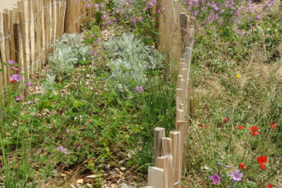 Agrandir l'image 3 sur 3, fenêtre modale