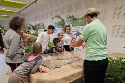 Exposition ossements dinosaures - Agrandir l'image 1 sur 3, fenêtre modale