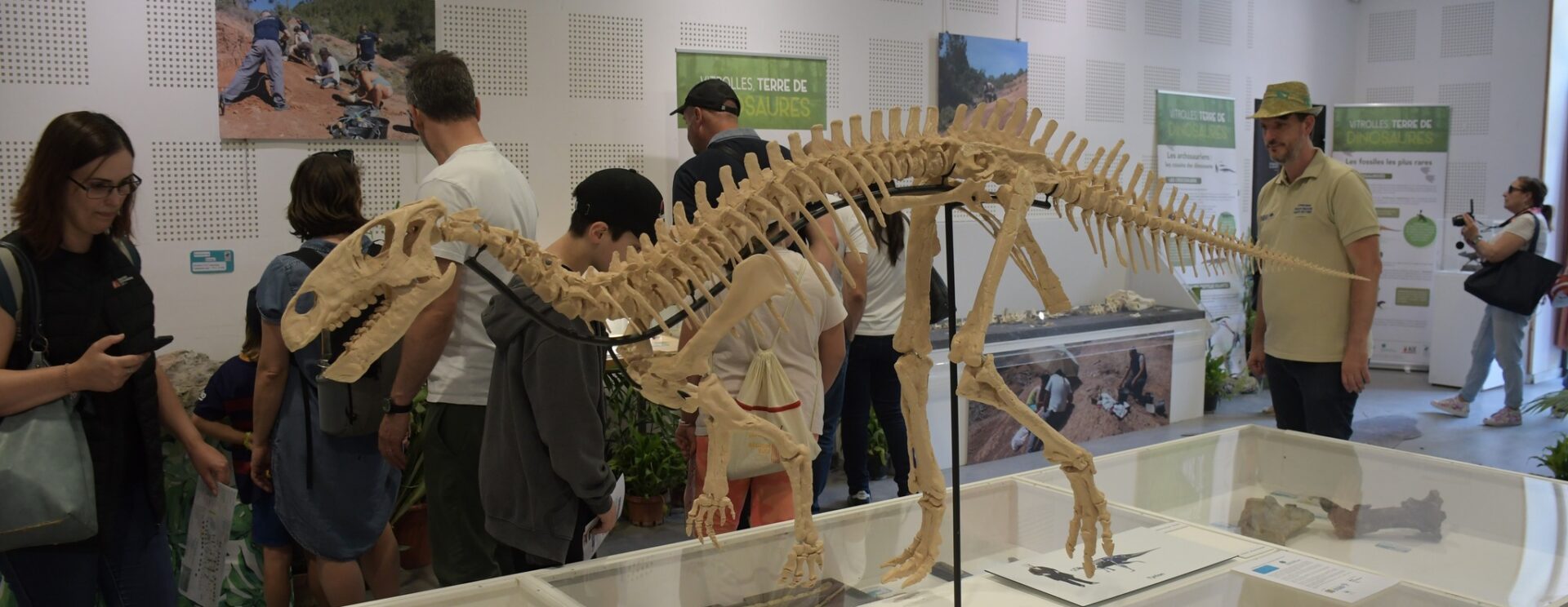 Exposition squelette dinosaures