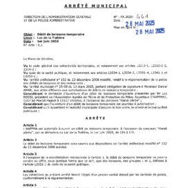Agrandir l'image, fenêtre modale