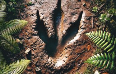 Affiche Vitrolles, terre de dinosaures 2026