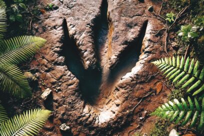 Affiche Vitrolles, terre de dinosaures 2026 - Agrandir l'image, fenêtre modale