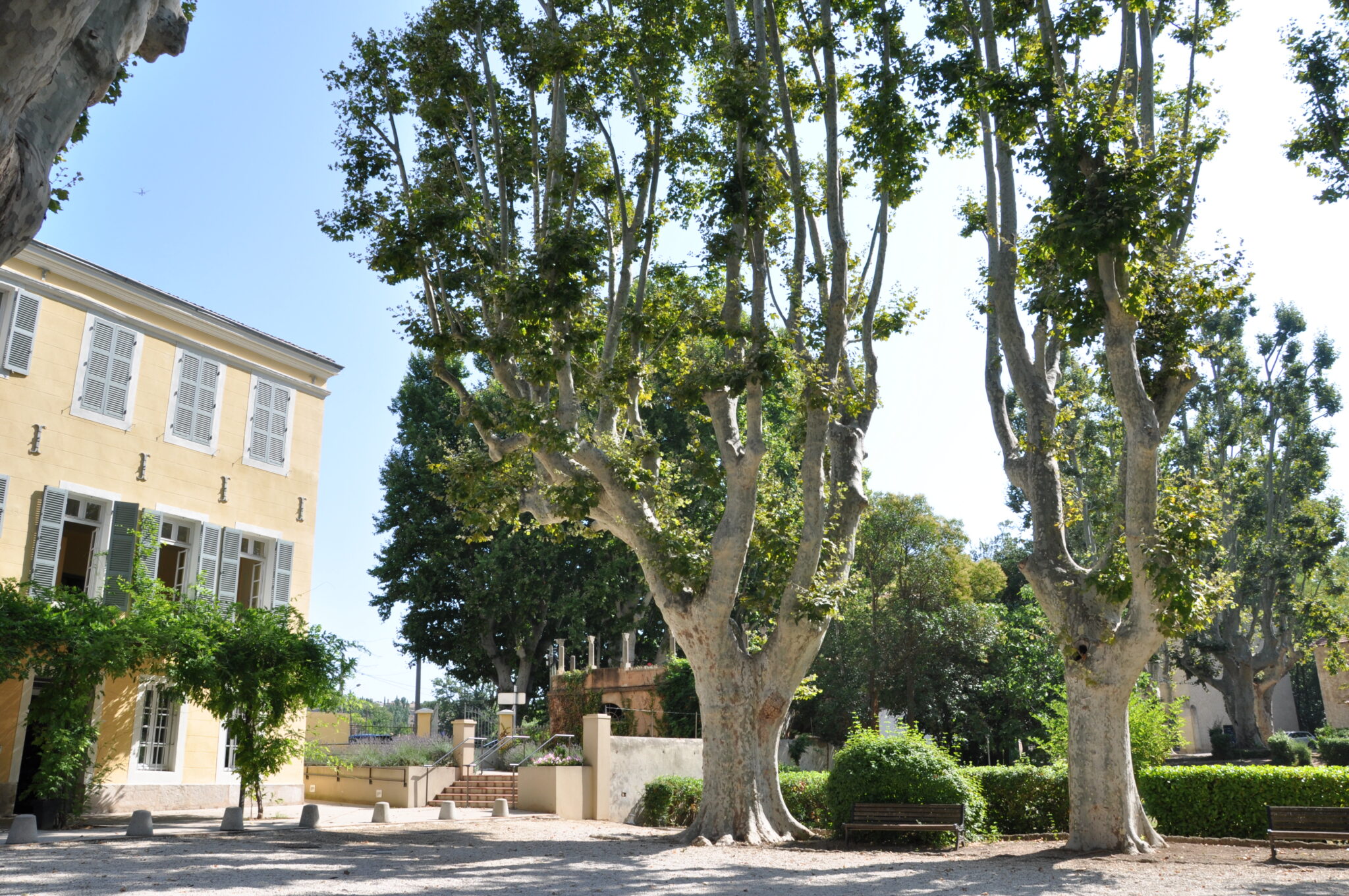 Agrandir l'image, fenêtre modale