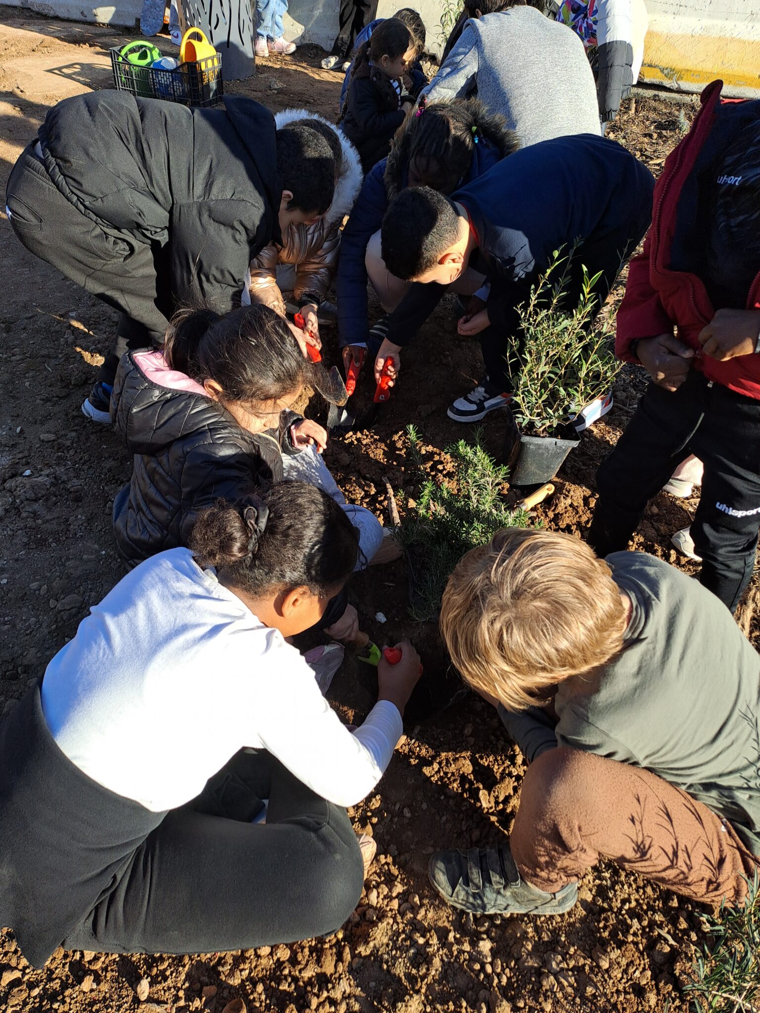Agrandir l'image, fenêtre modale