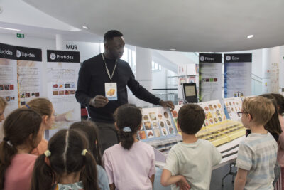 Agrandir l'image 1 sur 2, fenêtre modale