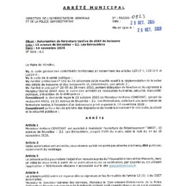 Agrandir l'image, fenêtre modale